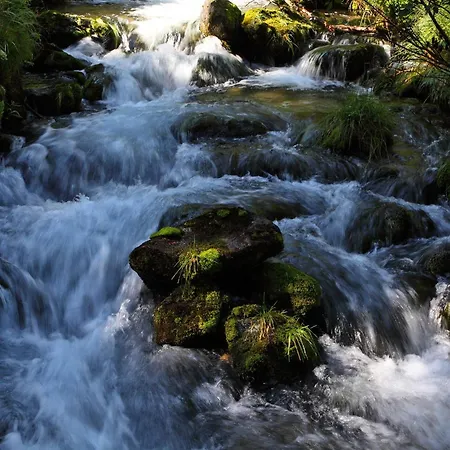 Almroesl Im Grossarltal